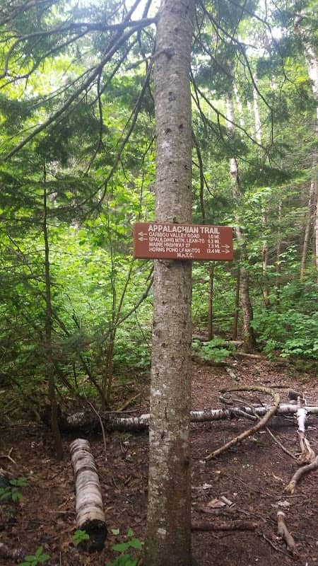 Crocker Cirque Campsite Trail - Image 1