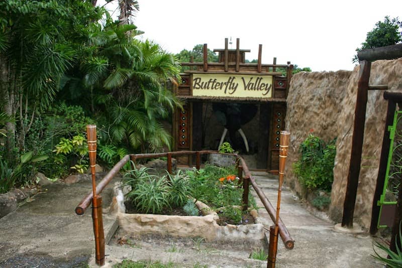 Butterfly Valley butterfly farm - Image 3