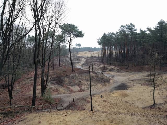 In den Brand - Image 1