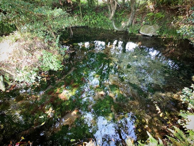 池の川水源 - Image 2