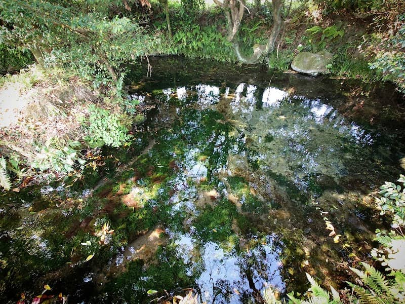 池の川水源 - Image 2