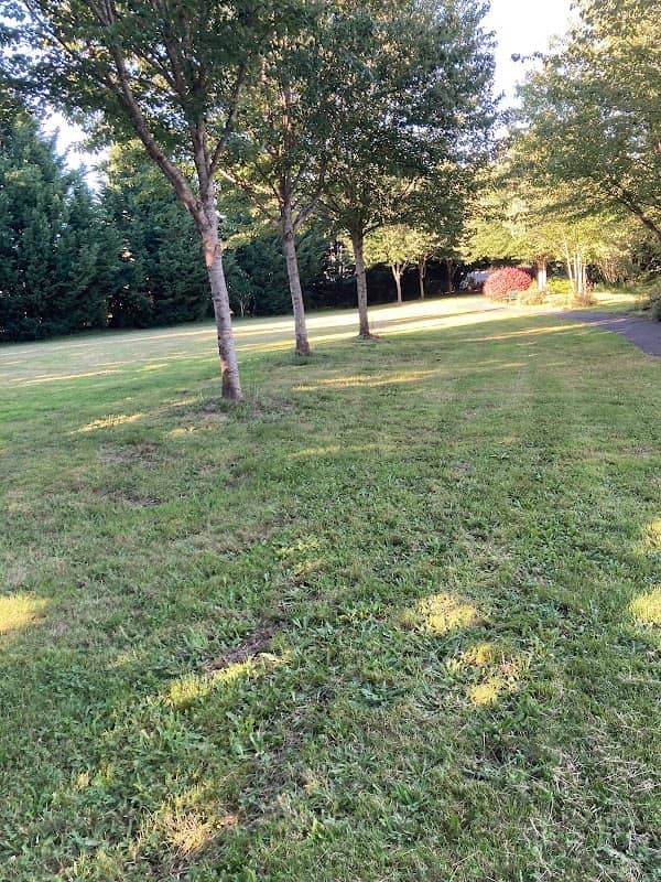 Triangle Park - Image 1