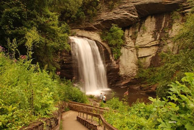 Looking Glass Falls - Image 2