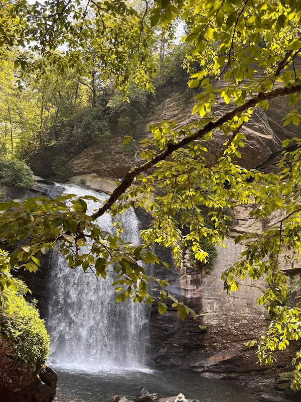 Looking Glass Falls - Image 3