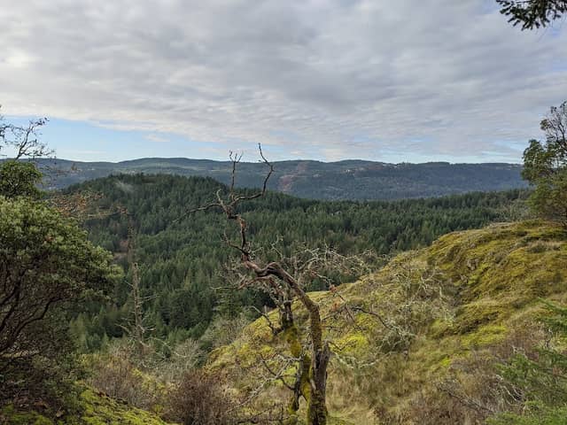 Lone Tree Hill Regional Park - Image 1