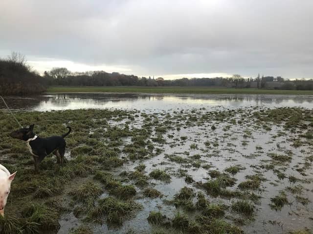 Finedon Cally Banks - Image 1