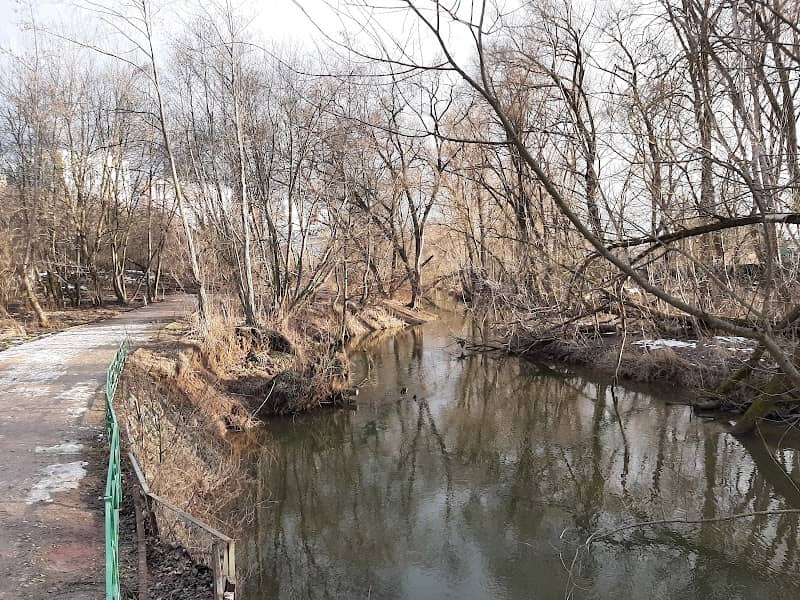 Prirodnyy Park Kurkino - Image 1