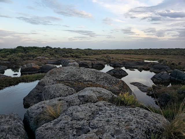 Jawbone Marine Sanctuary - Image 2