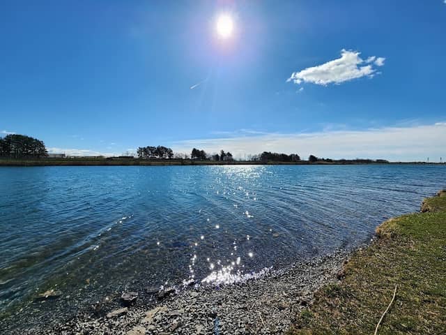Welland Dog Park - Image 2