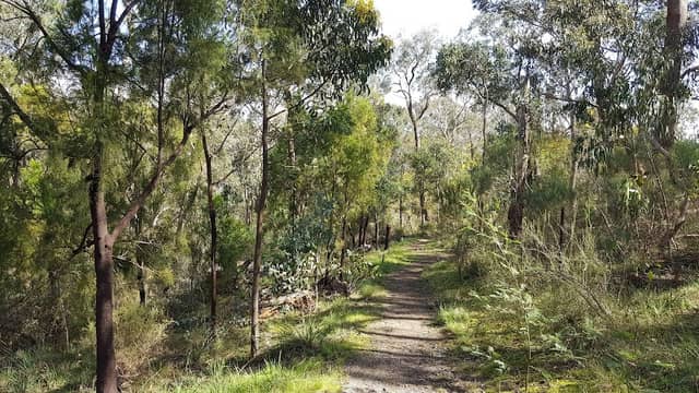 Loughie’s Bushland - Image 1