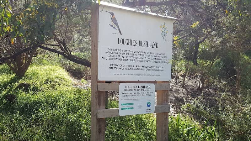Loughie’s Bushland - Image 2