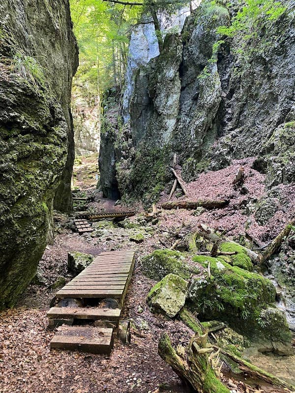 Wolfsschlucht Herbetswil - Image 1
