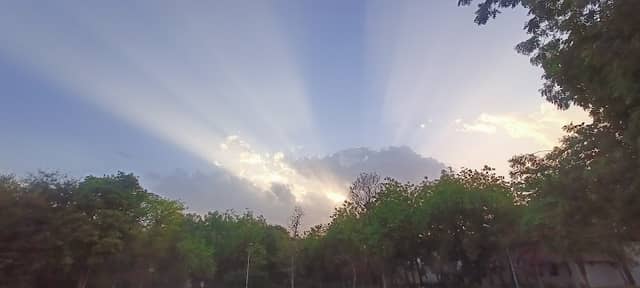 Lotus Pond (LP) - Image 1