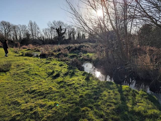 Purwell Meadows - Image 2