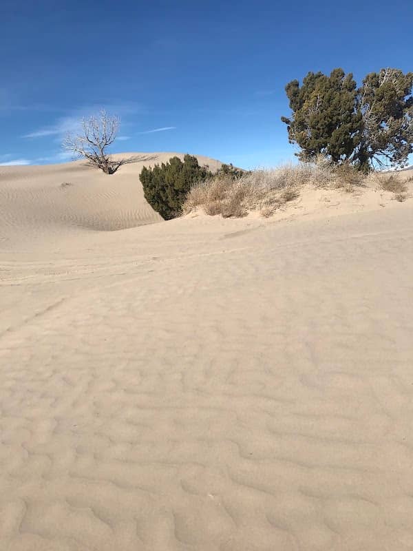 Little Sahara Recreation Area - Image 2
