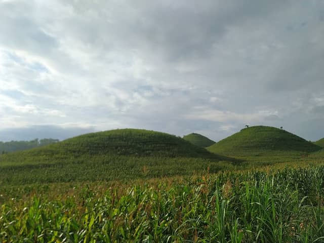 Bukit teletubbies - Image 1