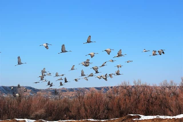 Ladd S Gordon Waterfowl Complex - Image 3