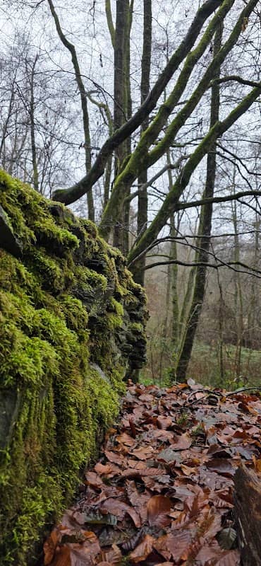 Weiherbachquelle - Image 1