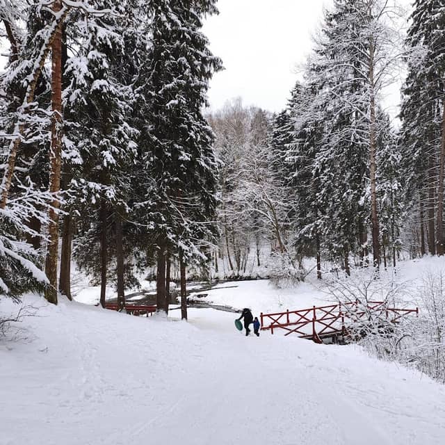 Lesoparkovaya Zona - Image 1