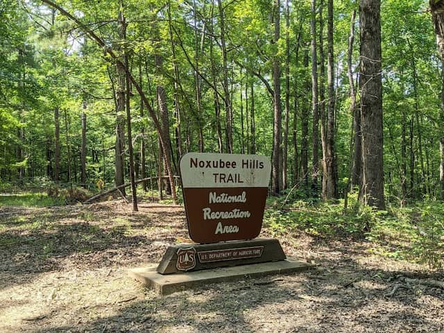Noxubee Hills Trail System South Trailhead - Image 2