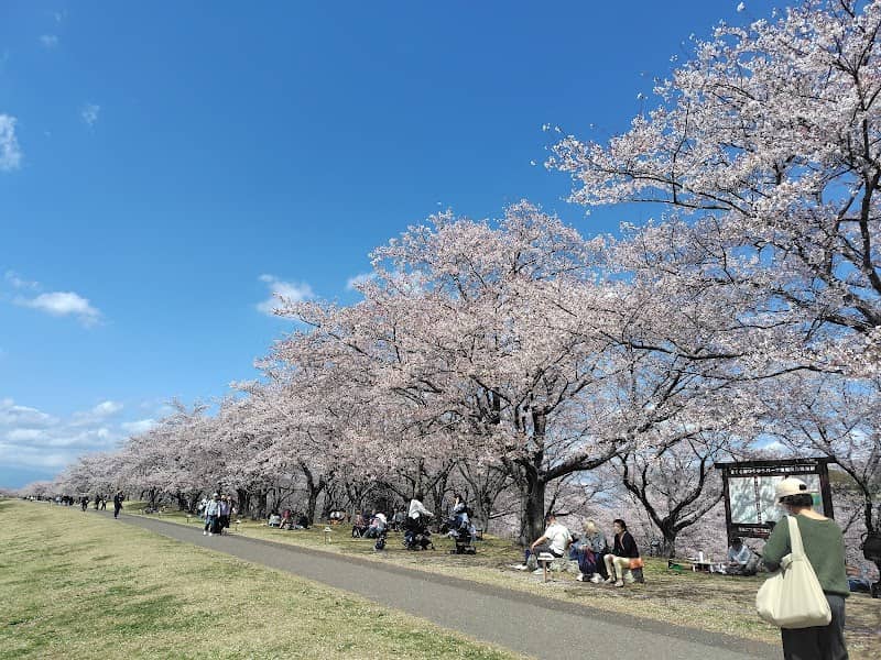 Yuuyuu Park - Image 1