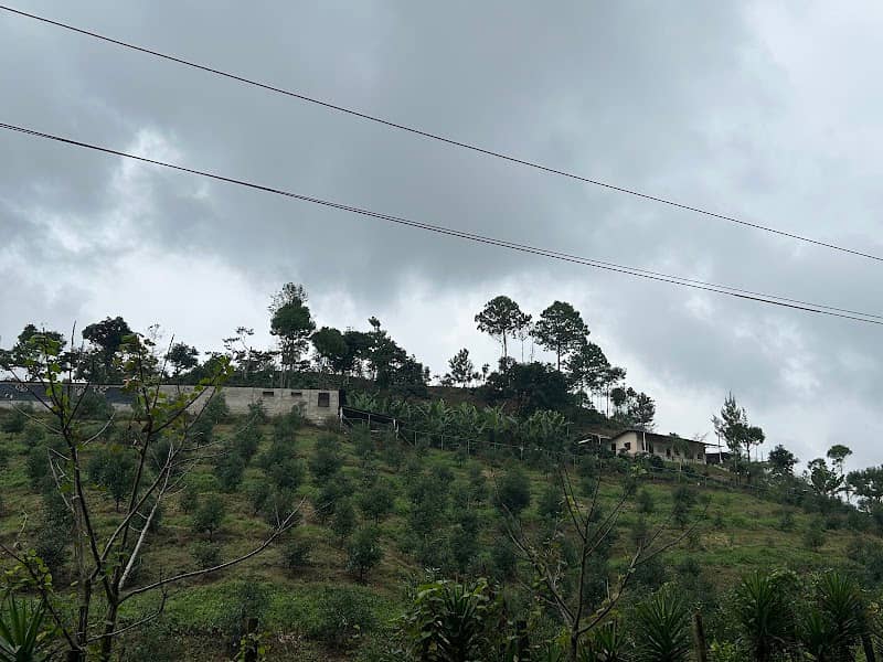 Finca Villa Elsita - Image 1