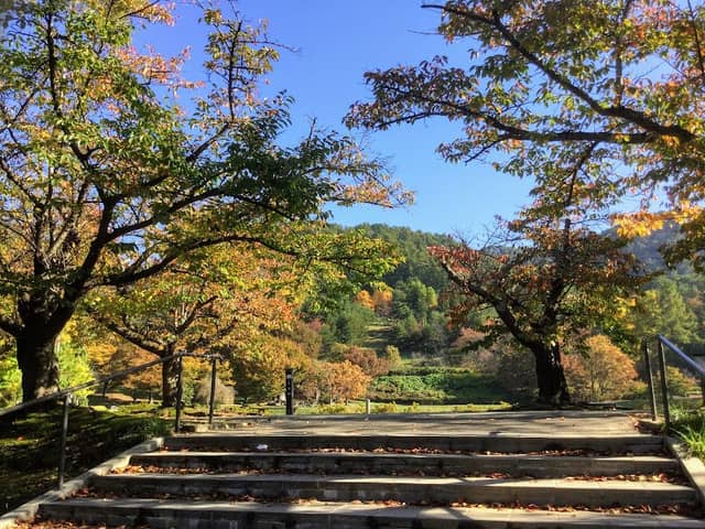 Donomae Park - Image 1