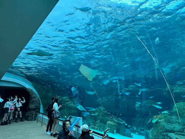 Port Of Nagoya Public Aquarium - Image 1