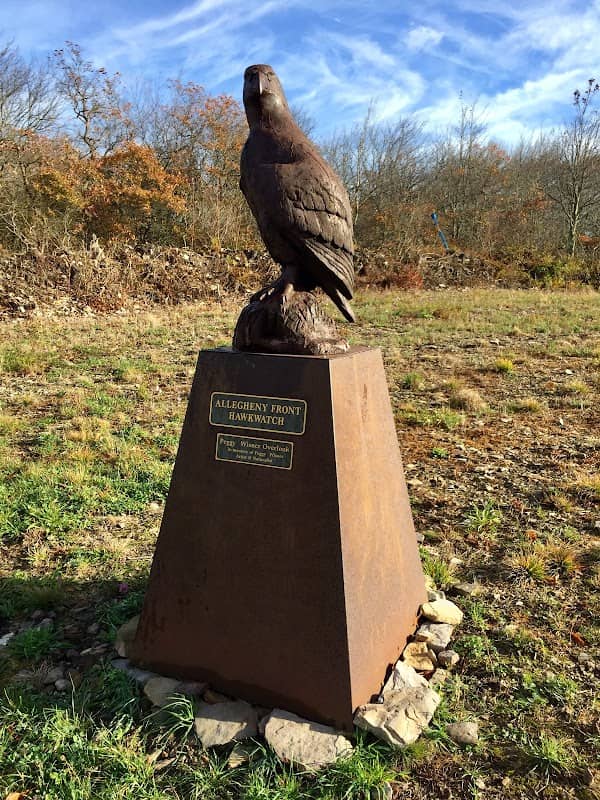 Allegheny Front Hawk Watch - Image 2