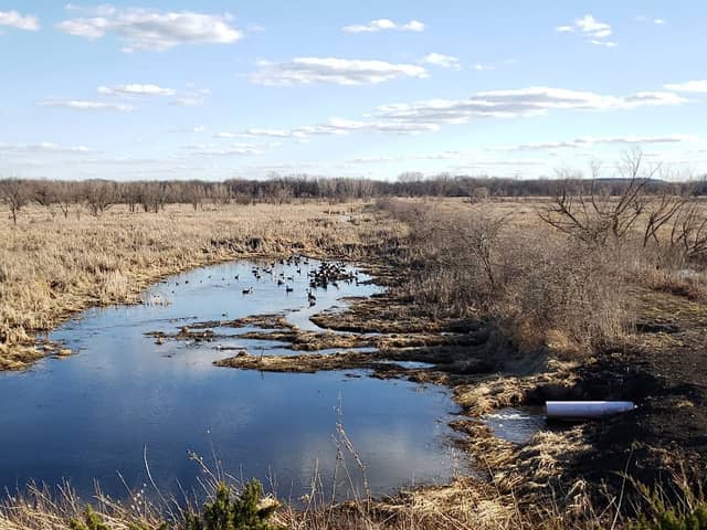 Baker University Wetlands - Image 1