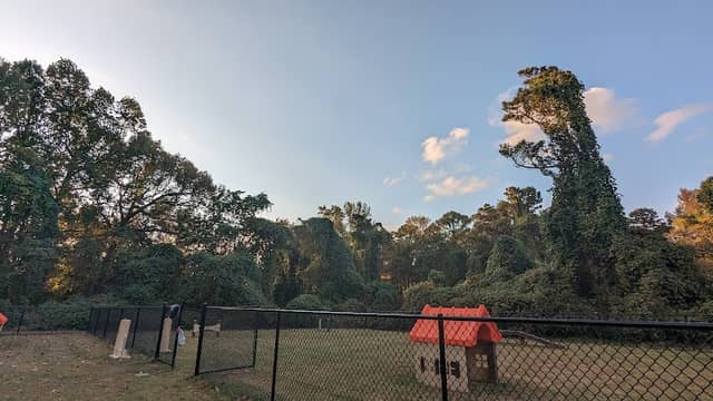 Grant Road Park - Image 2