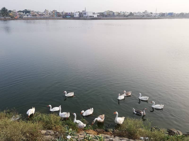 Avadi Paruthipattu Lake - Image 1