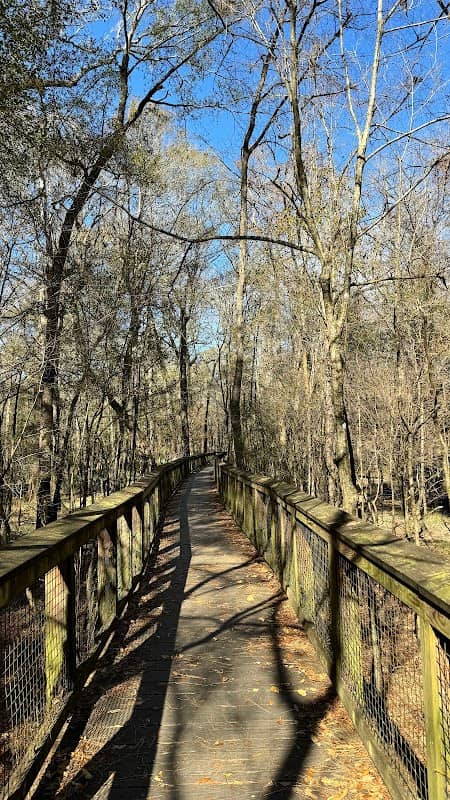 Firefly Trail - Image 3
