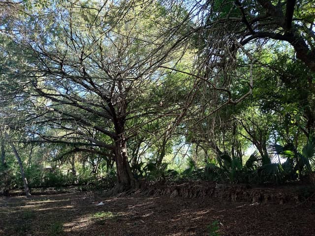La Posada Park - Image 1