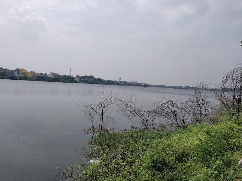 Vaagai lake - Image 1