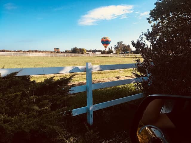 FLYING HORSE FARMS - Image 1