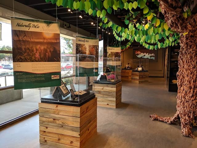 PoCo Heritage Museum and Archives - Image 2