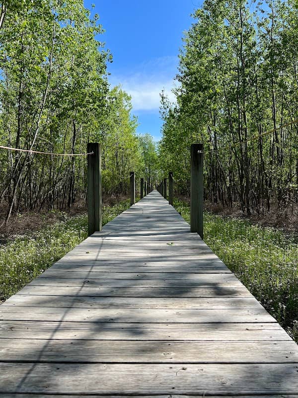 River's Edge Park - Image 2