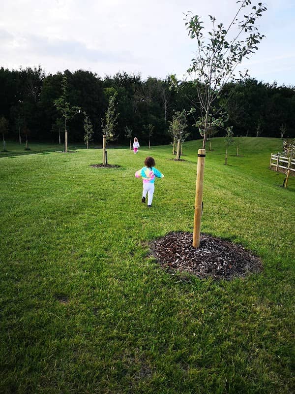 Hanwell Green Buffer Forest - Image 1