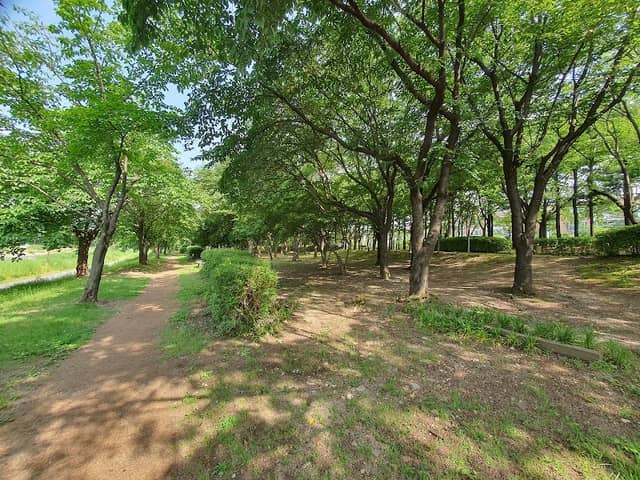미금둘레길(산책로) - Image 1
