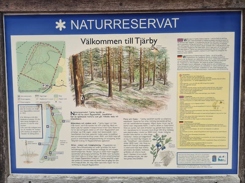Tjärby sanddynsreservat - Image 2