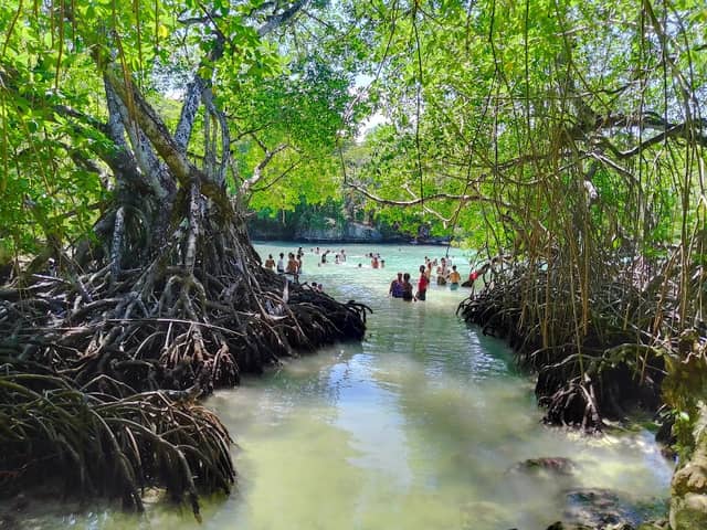 El Pontón - Image 1