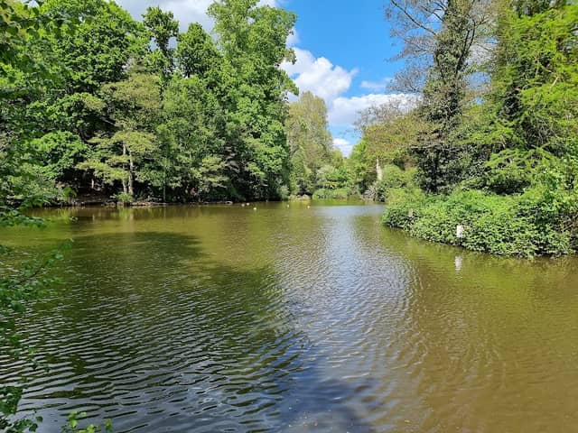 Holly Hill Woodland Park - Image 1