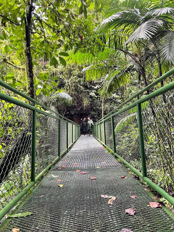 Puente colgante Vista Arenal - Image 2