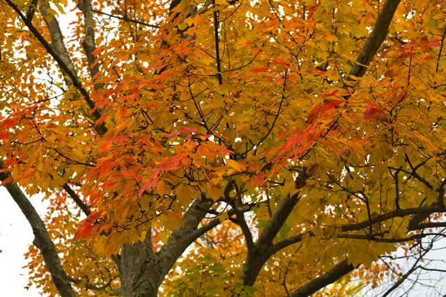 Carriage House Park - Image 1