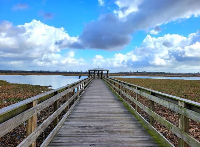 Cattail Marsh Scenic Wetlands & Boardwalk - Image 1