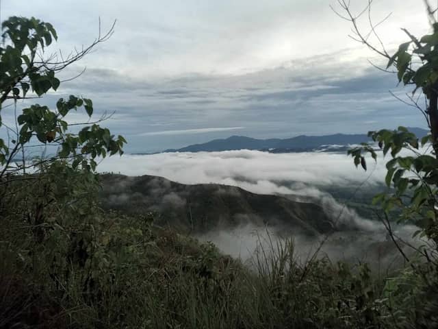 Malussong Cafe & Creations - Image 1