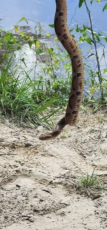 Village Creek - Image 1
