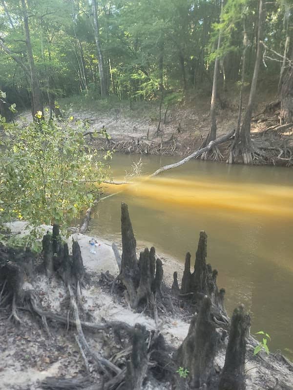 Village Creek - Image 2