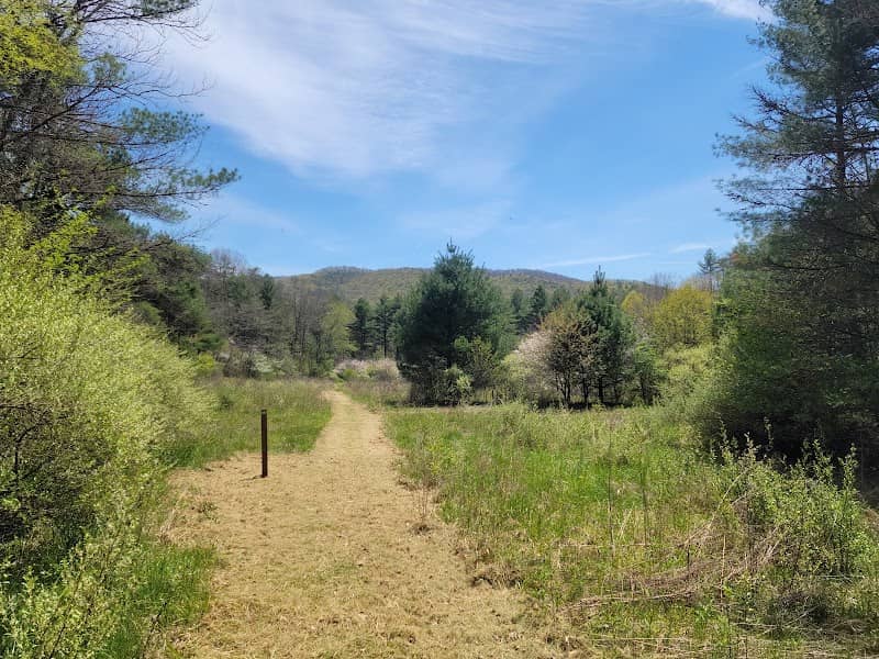 Allegheny Trail (Bear Branch Trailhead) - Image 1